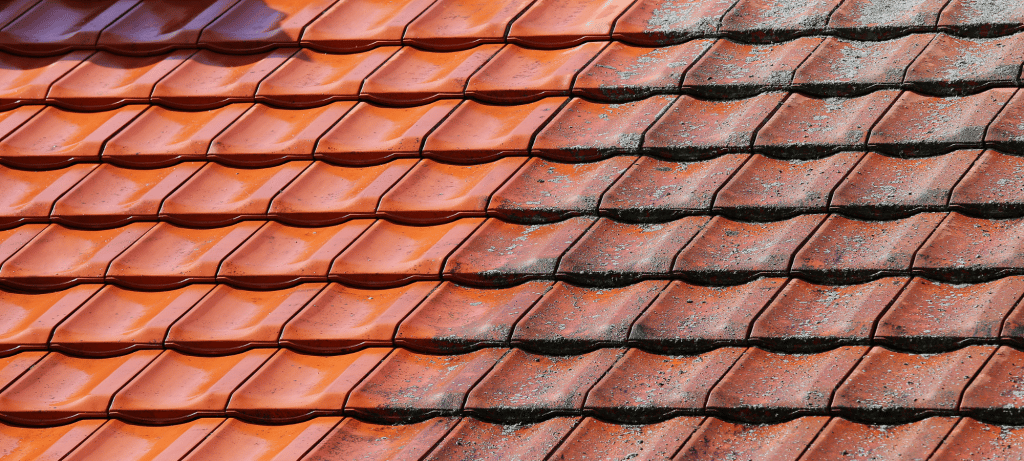 best roof cleaning services