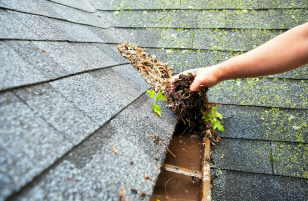 A Gutter Cleaning Service Redefining Cleanliness | Kennedy Brothers