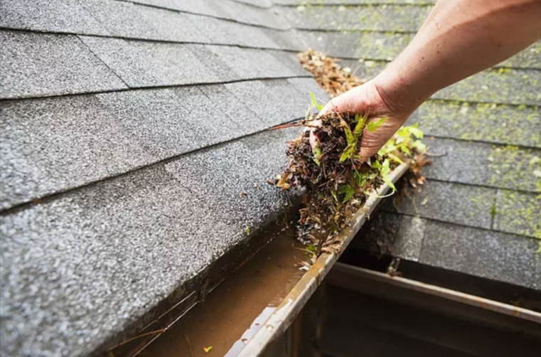 Expert Gutter Cleaning Services For A Clear & Flowing Foundation