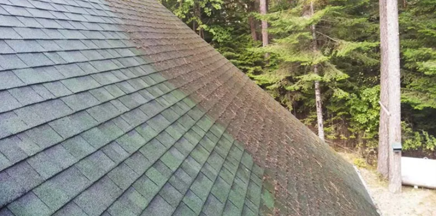 Get Your Roof Gleaming: Trustworthy Cleaning Specialists