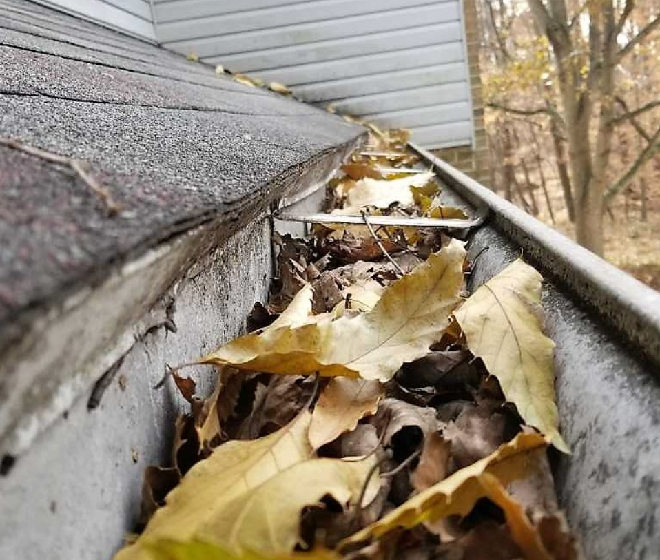 Expert Gutter Cleaning Services: Protect Your Home Today!